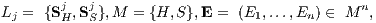 Lj = {SjH,SjS},M = {H,S },E = (E1,...,En ) ∈ M n,